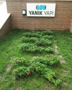 BAHÇEDEN